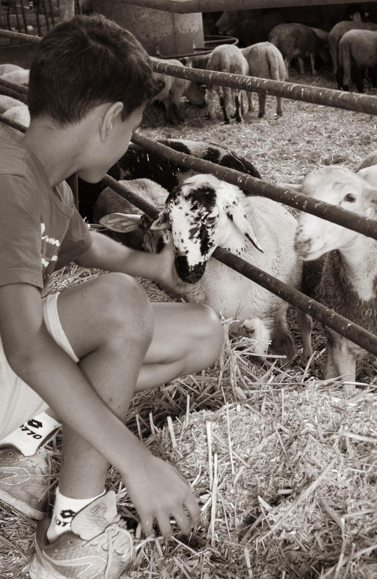 Chambre D'Hote Dans Un Havre De Paix A La Ferme Saint-Maurice-la-Clouere Εξωτερικό φωτογραφία